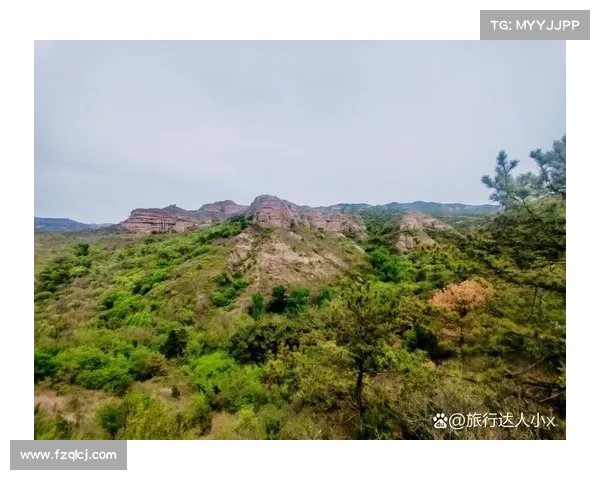 博格坎普与皇马之间的七大未解之谜与历史之谜探秘